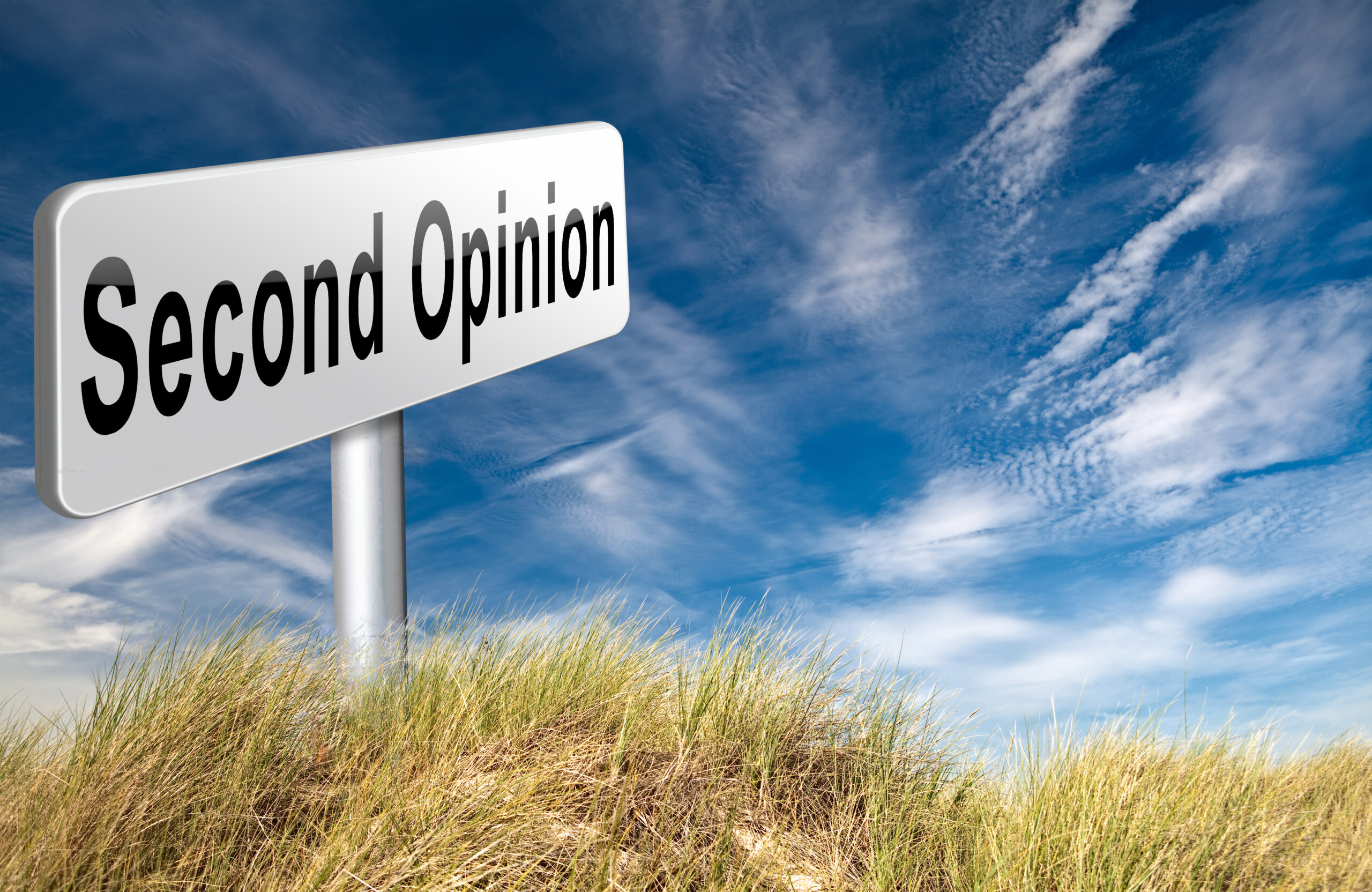 A sign with the word second opinion in the middle of a grassy field.