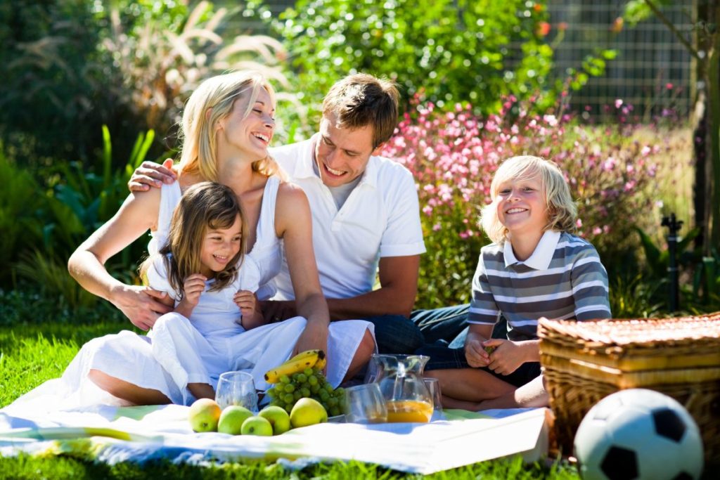 A family enjoying a picnic in the grass.