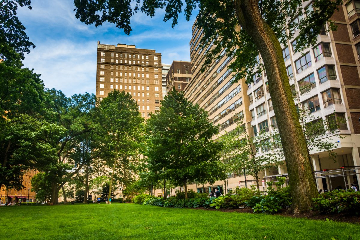 A green grassy area in front of tall buildings.