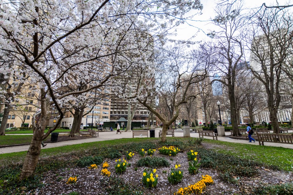 rittenhouse square braces