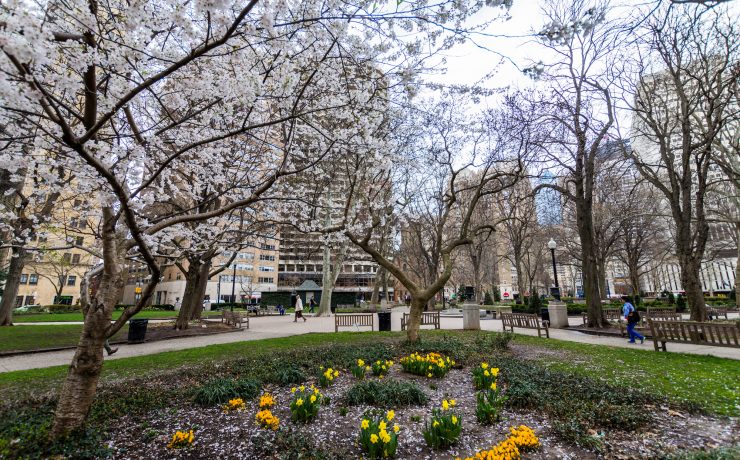 rittenhouse square braces